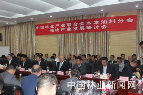 湖北丰年公司领导参加核桃产业发展研讨会